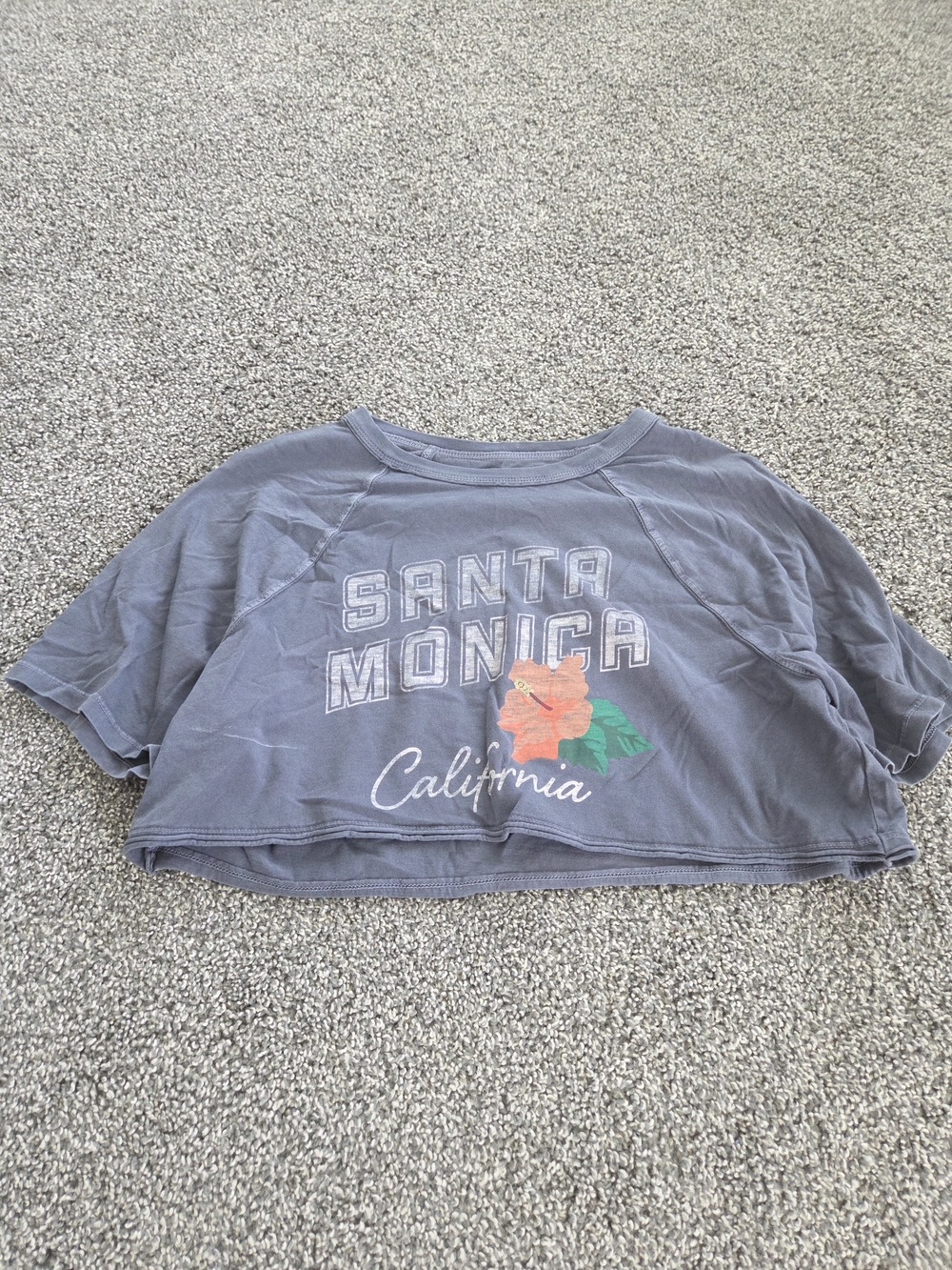 Aeropostale Gray Santa Monica Floral Graphic Crop Tee